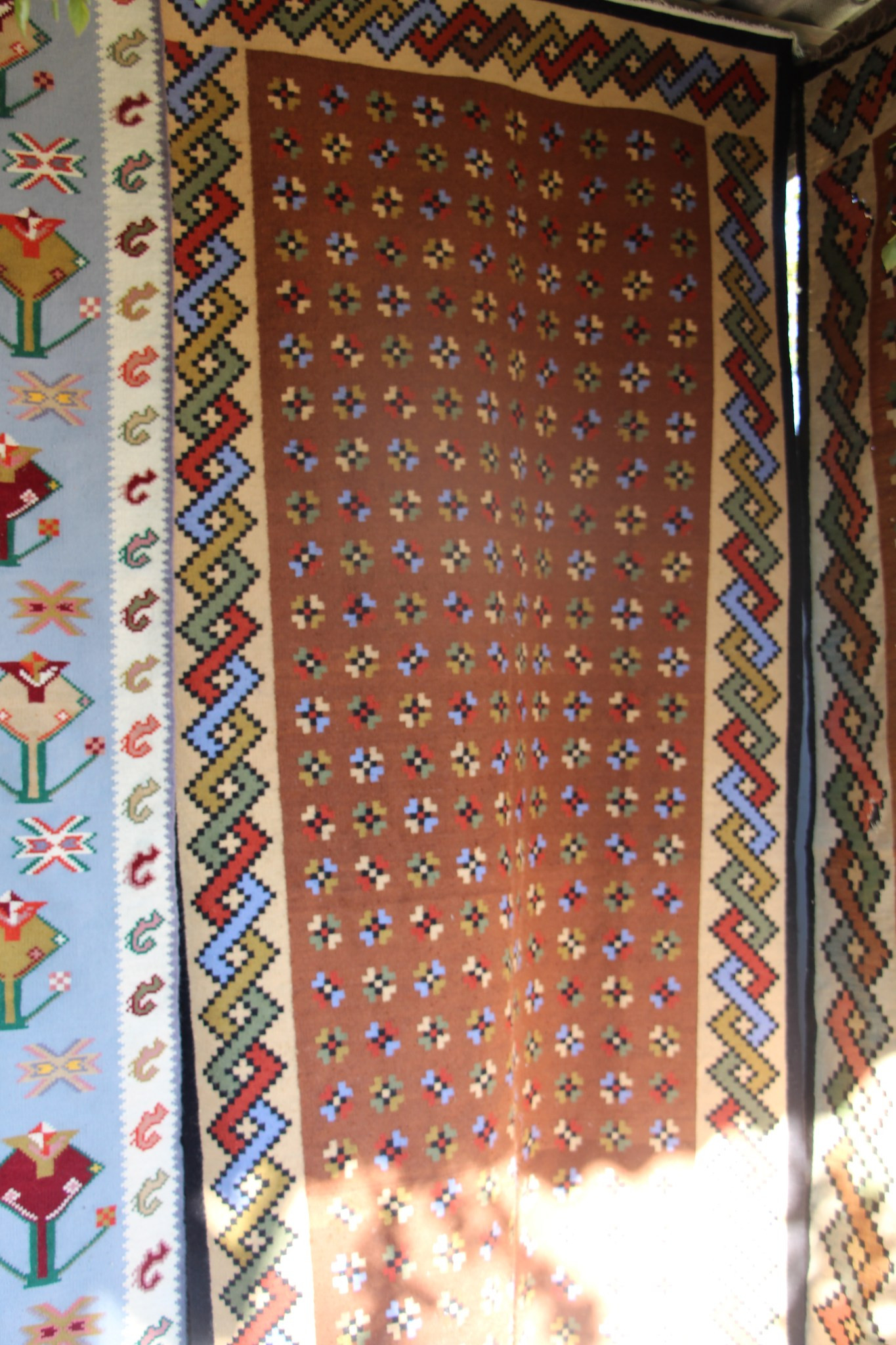 463119794_504951642514728_1919160396111920648_n.jpg